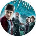 Kulatý jedlý obrázek na dort – Harry Potter, Harry, Brumbál a přátelé (modrá, tyrkysová, červená)