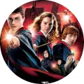 Kulatý jedlý obrázek na dort – Harry Potter, hrdinové s hradem a profesory (červená, černá, zlatá)