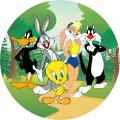 Kulatý jedlý obrázek na dort – Looney Tunes (zelená, žlutá, černá)