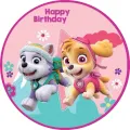 Kulatý jedlý obrázek na dort – Tlapková patrola, Skye, Everest, Happy Birthday (růžová, tyrkysová, bílá)