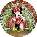 Kulatý jedlý obrázek na dort – Minnie, v květinovém oblouku (červená, zelená, bílá)