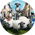 Kulatý jedlý obrázek na dort – Ovečka Shaun, pyramida ovcí ve městě (bílá, černá, modrá)