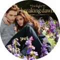 Kulatý jedlý obrázek na dort – Stmívání, Edward a Bella na louce s logem (fialová, zelená, černá)