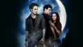 Obdélníkový jedlý obrázek na dort – Stmívání, Edward, Bella, Jacob pod měsícem (černá, modrá, šedá)