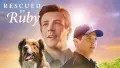 Obdélníkový jedlý obrázek na dort – Ruby záchranářka (modrá, žlutá, hnědá)