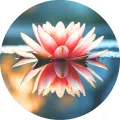 Kulatý jedlý obrázek na dort – Květ lotus, Leknín (růžová, modrá, bílá)