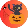 Kulatý jedlý obrázek na dort – Halloween, černá kočička v dýni (černá, žlutá, červená)