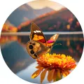 Kulatý jedlý obrázek na dort – Motýl, Podzim: Na oranžovém květu u jezera (žlutá, červená, modrá)