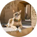 Kulatý jedlý obrázek na dort – Kočka, Egypt: Kočka u chrámové zdi (hnědá, zlatá, tyrkysová)