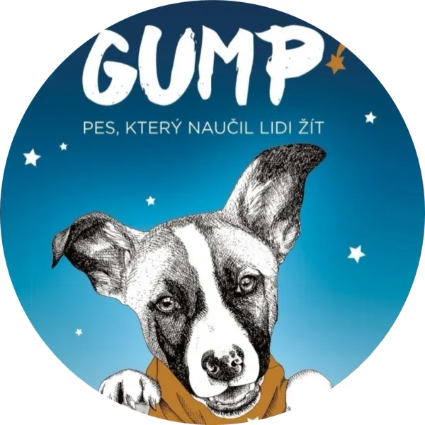 Kulatý jedlý obrázek na dort – Gump, portrét s nápisem a hvězdami (modrá, bílá, hnědá)