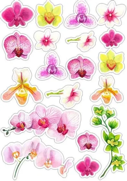 Obdélníkový jedlý papír k výřezu – Květiny, jemné akvarelové orchideje (růžová, fialová, žlutá)