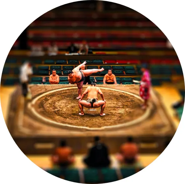 Kulatý jedlý obrázek na dort – Sumo (hnědá, černá, žlutá)