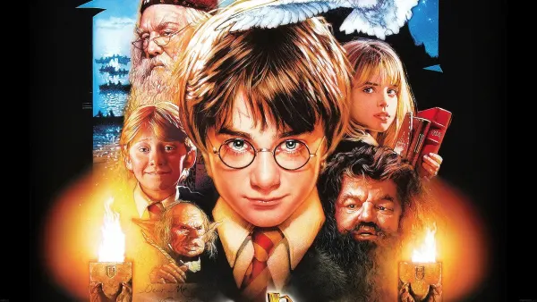 Obdélníkový jedlý obrázek na dort – Harry Potter, hrdinové se sovou Hedvikou (černá, žlutá, červená)