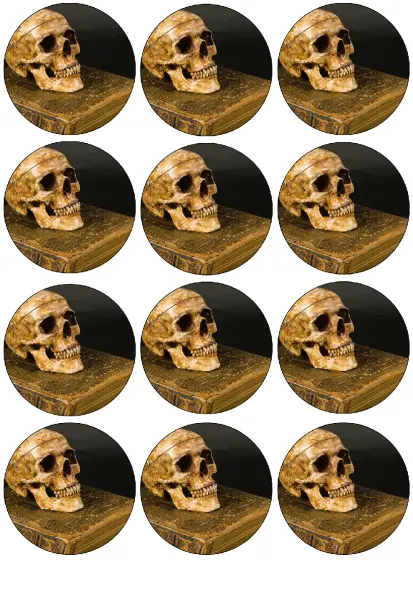 List jedlých koleček na cupcakes – Halloween, lebka na staré knize (hnědá, černá, žlutá)