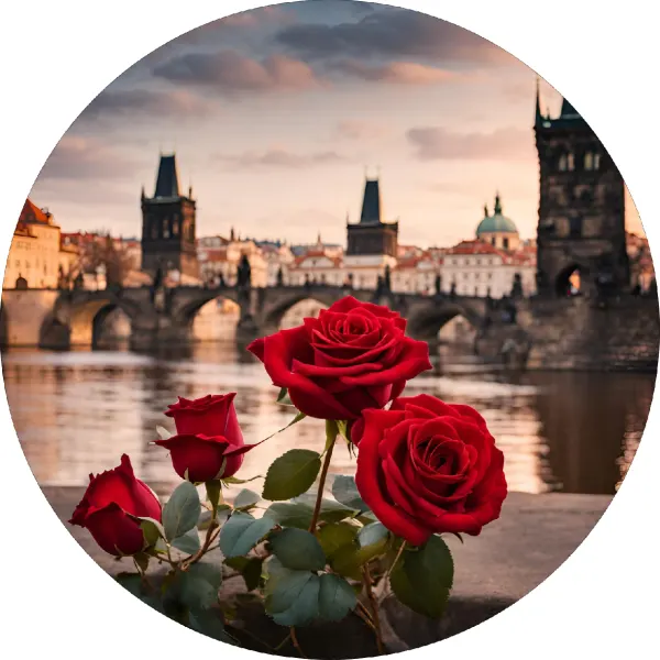Kulatý jedlý obrázek na dort – Praha, růže (červená, hnědá, šedá)